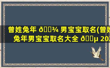 曾姓兔年 🌾 男宝宝取名(曾姓兔年男宝宝取名大全 🐵 2023款)